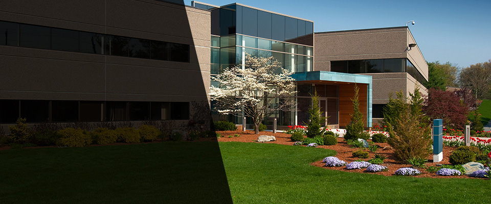 Marathon Landscapers